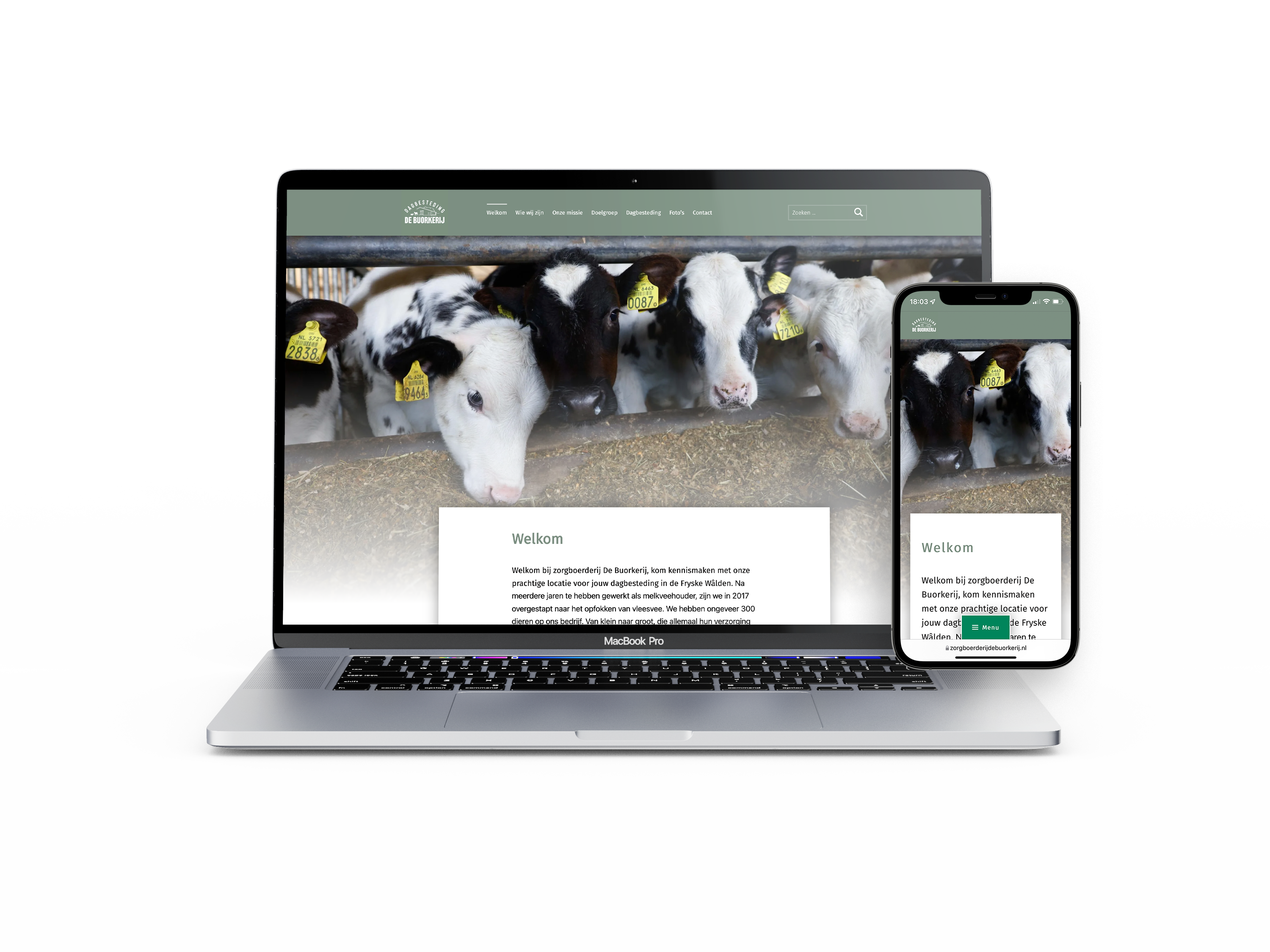 Website zorgboerderij de Buorkerij